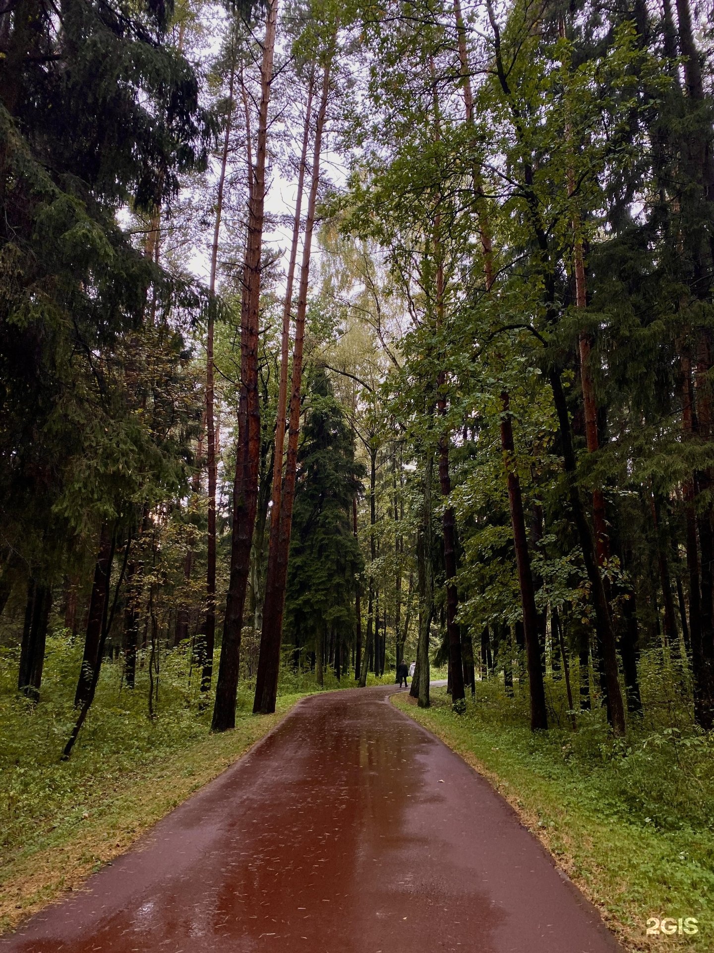 мещерский парк одинцово