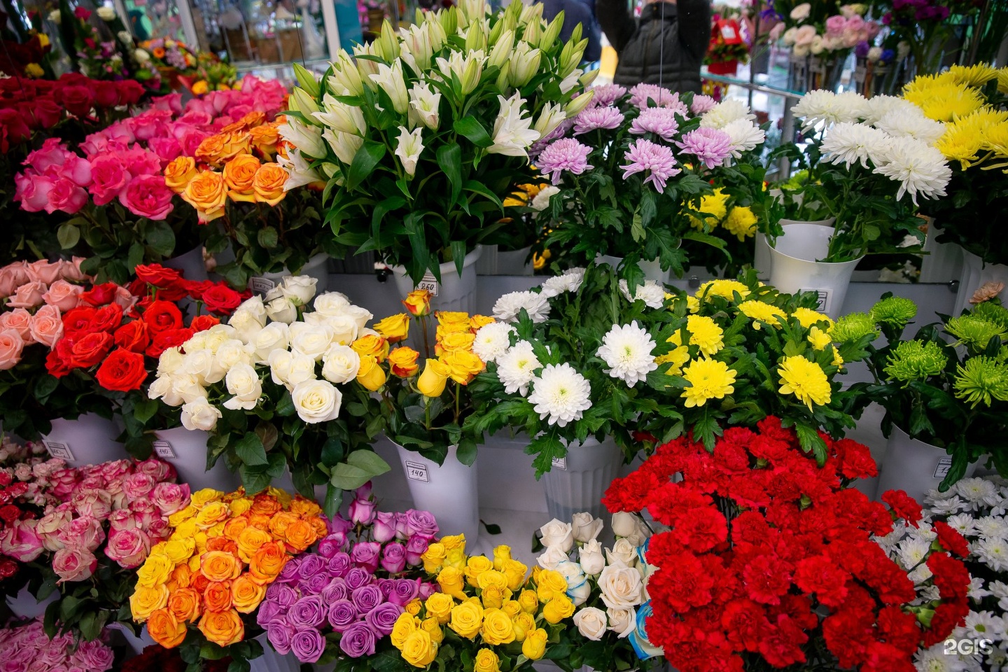 Где Можно Купить Цветы Ярославль