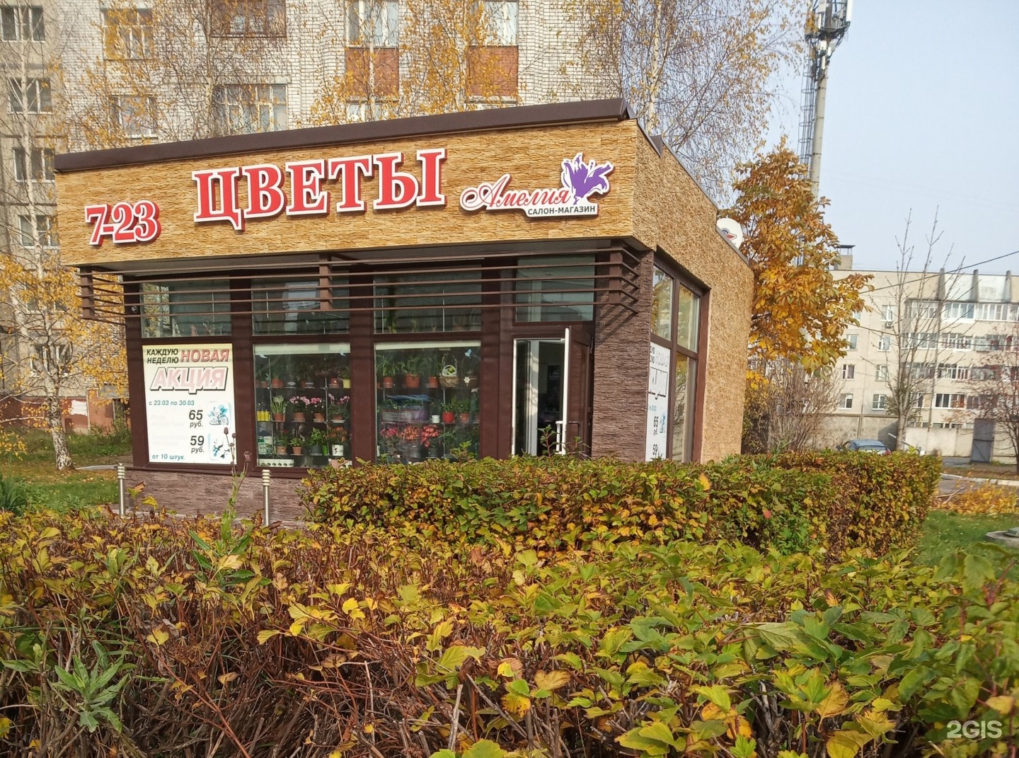 Цветочный магазин Новочебоксарск Дубрава