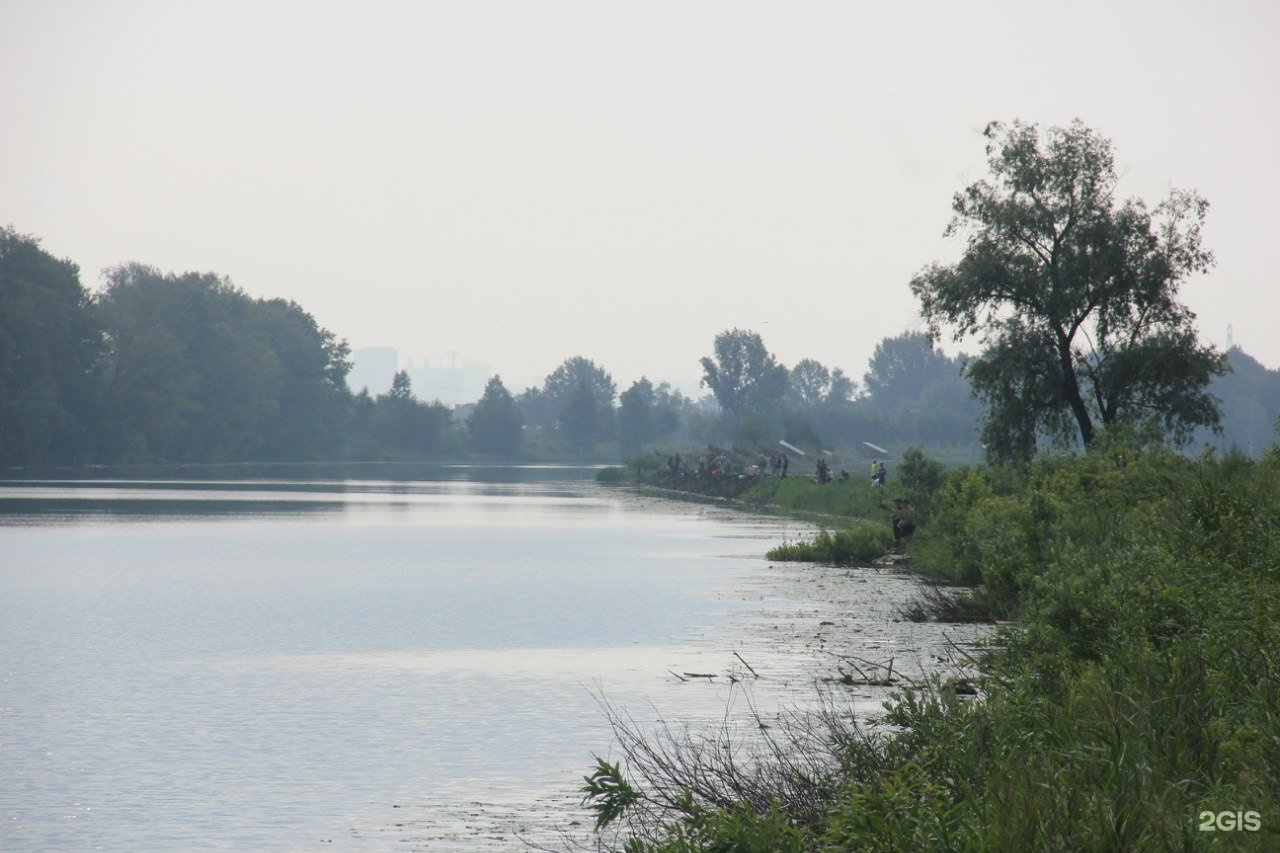 Озеро глухое Новосибирская область