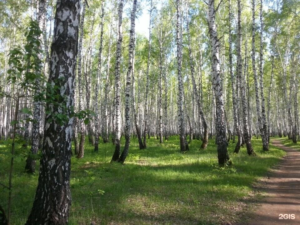 Гагаринский парк тюмень карта