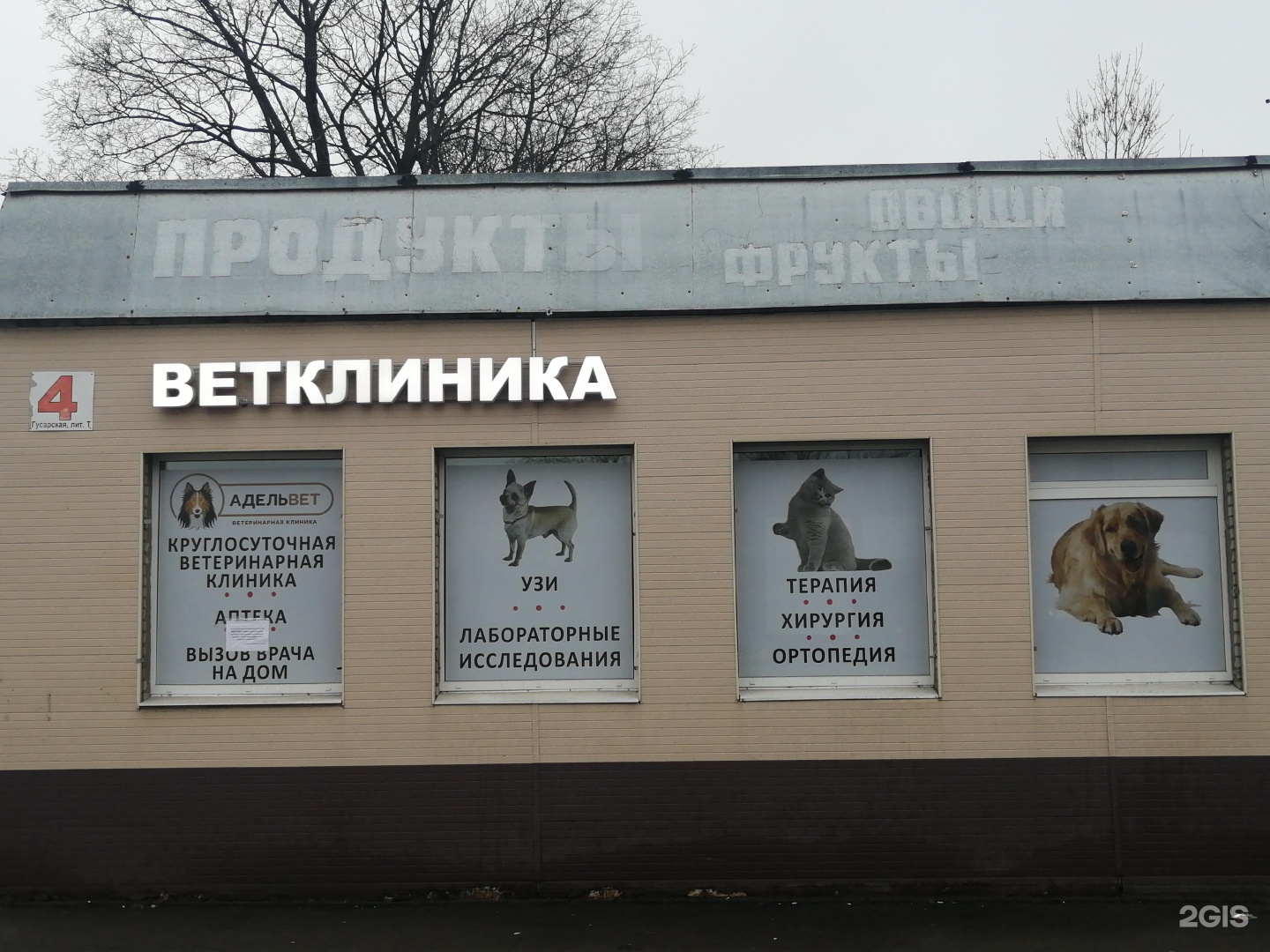 Ветклиника пушкин спб. Ветклиника Гусарская 4. Гусарская 4 Пушкин. Ветеринарная 4 ветклиника. Ветклиника Пушкин.