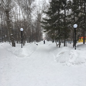 Фото от владельца Центральный парк культуры и отдыха