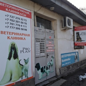 Фото от владельца Ветеринарная клиника, ИП Улкенбаева У.О.