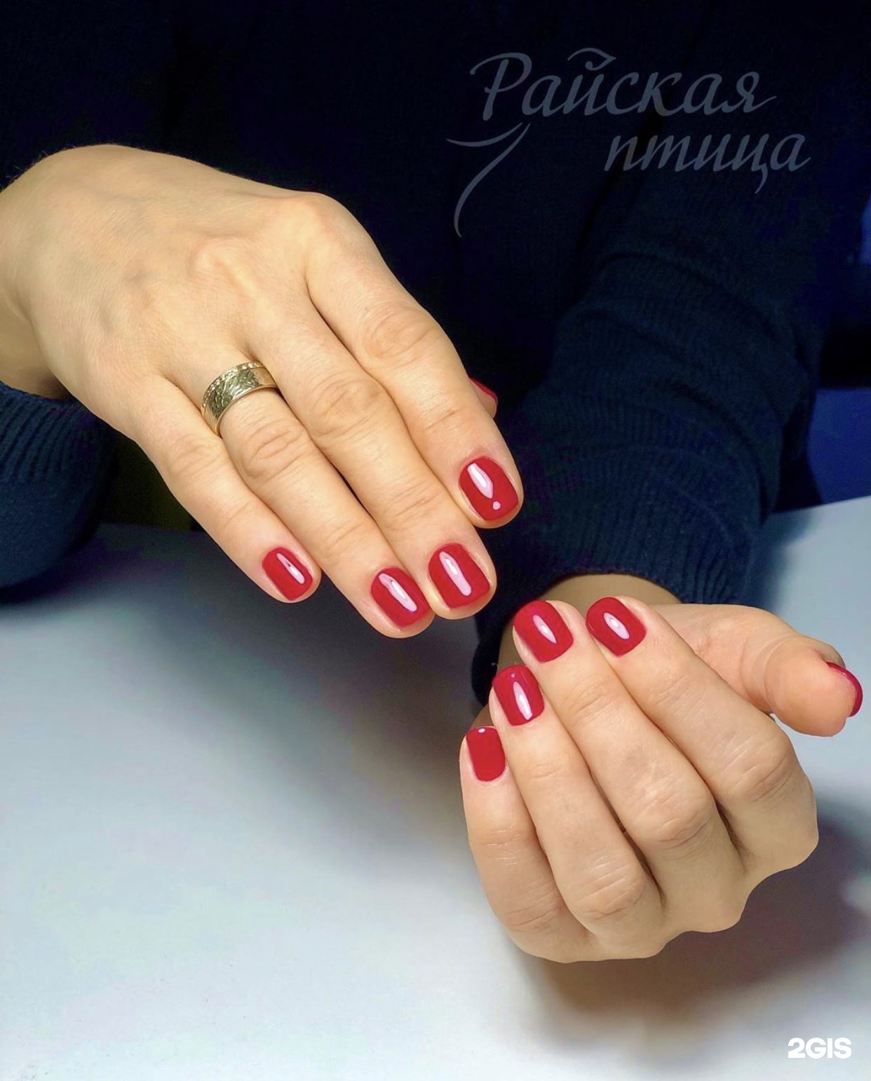 Райская птица воронеж салон красоты. Райская птица самара салон. Райская птица салон красоты самара. Райская птица салон владимир. Райская птица салон владимир.