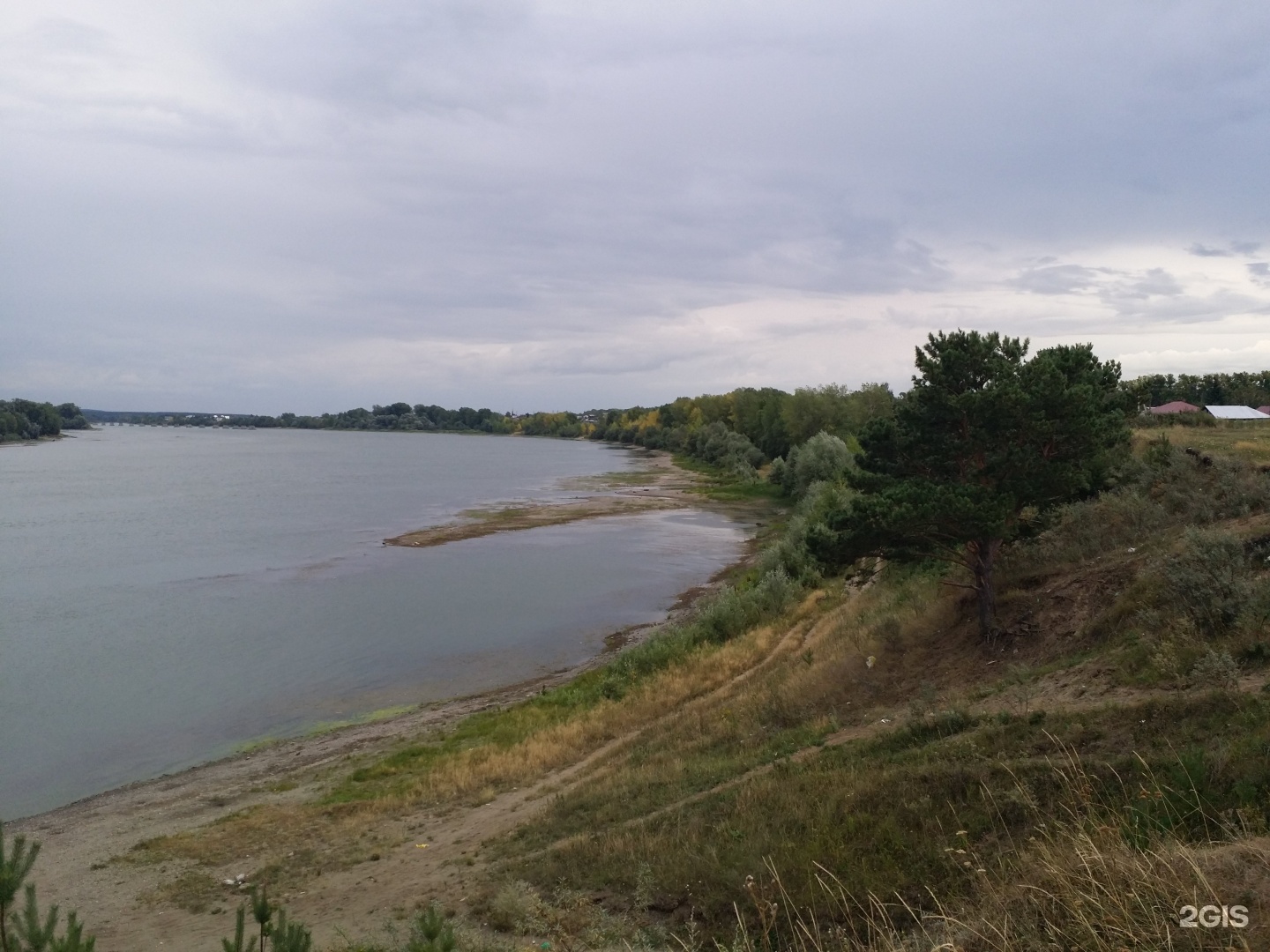 Участок бийск. Река Бия Бийск пляж. На берегу бии. Первый участок Бийск. Р Бия пос имени Фрунзе.