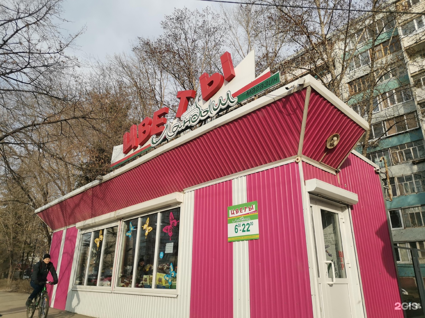 Ульяновский цветы