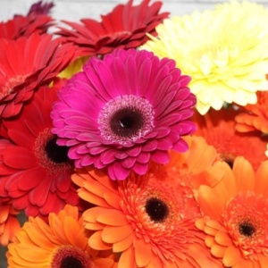 Фото от владельца Флора, цветочная сеть