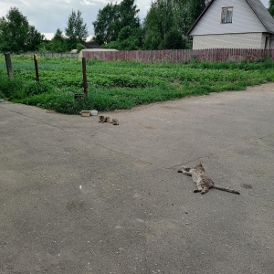 Фото от владельца Приход Святителя Николая