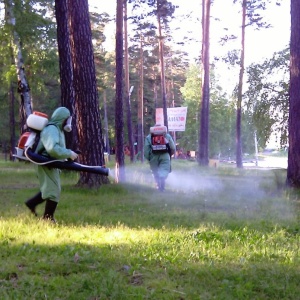 Фото от владельца ДезЦентр ЭКО