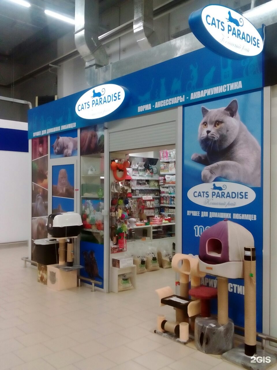 Cats Paradise Челябинск. Лента Зоомаркет. Зоомагазин в ленте. Cats Paradise, Челябинск, улица Дарвина.