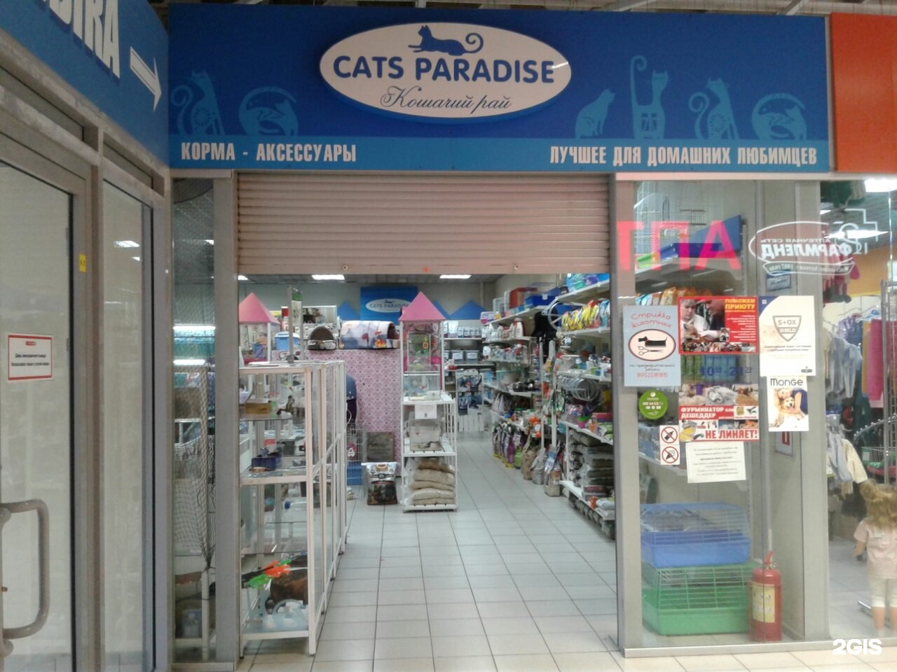 Кошки в парадизе тула. Cats Paradise Челябинск. Cats Paradise, Челябинск, улица Дарвина. Cat Paradise.