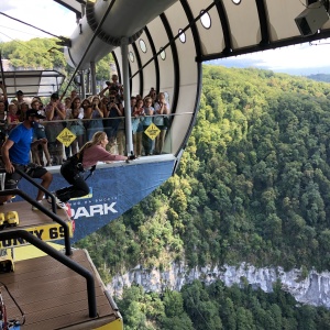 Фото от владельца SKYPARK AJ Hackett Sochi, парк развлечений на высоте