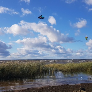 Фото от владельца Дубки, парк культуры и отдыха