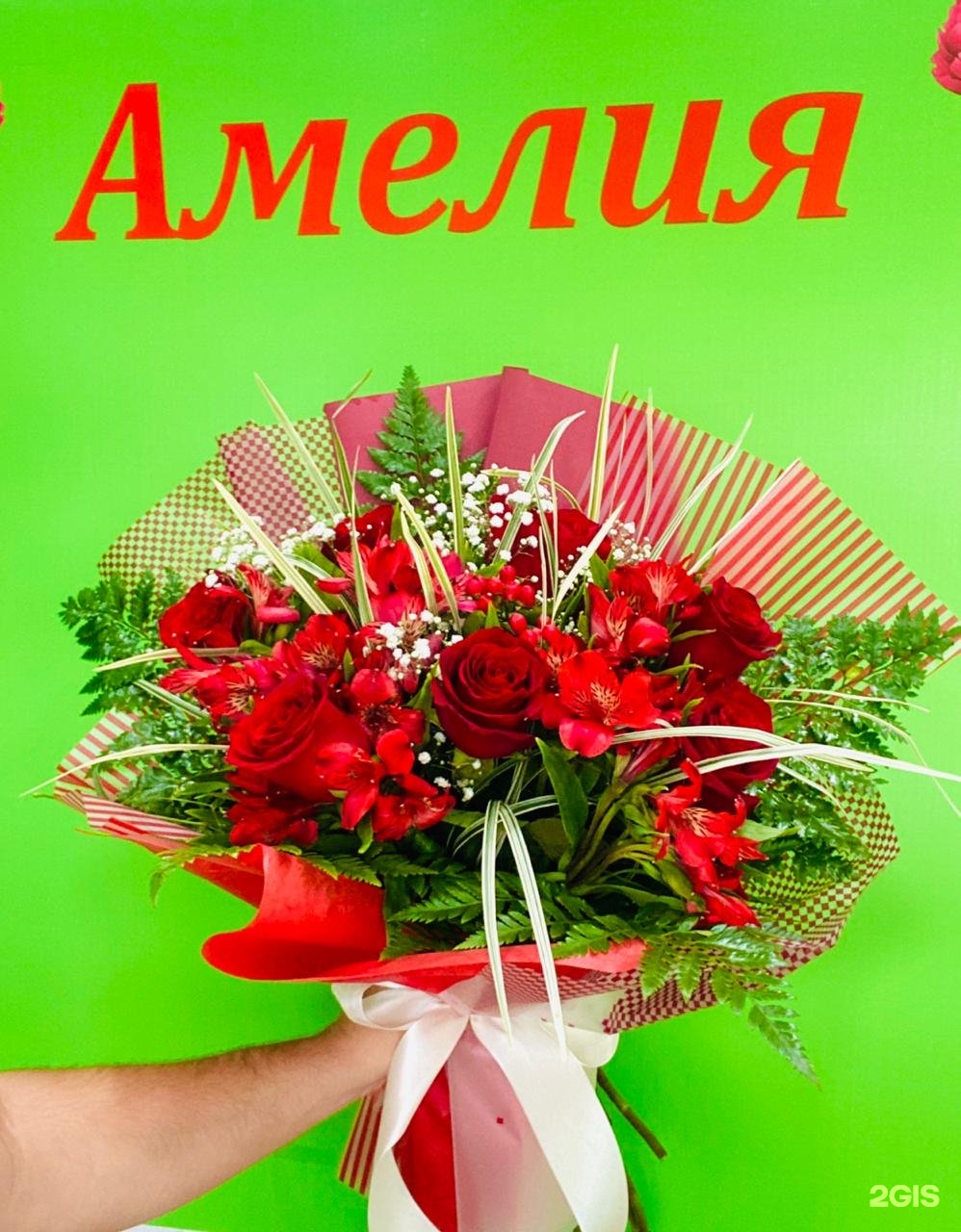 Амалия цветок