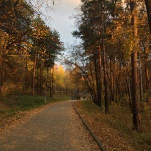 Фото от владельца Екатеринбургский Центральный Парк Культуры и Отдыха им. В.В. Маяковского