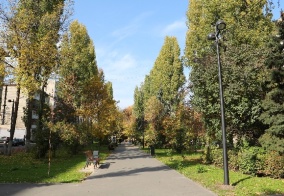 Отель Саратов в Саратовской области