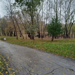 Фото от владельца Воронежские озера, парк