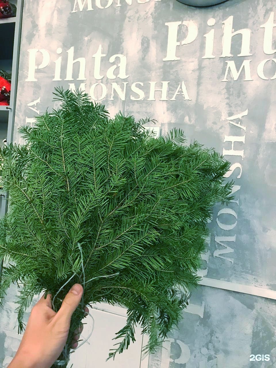Pihta