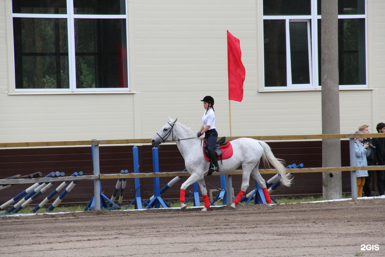 Municipal Autonomous institution Olympic reserve Sports school City of sports, s