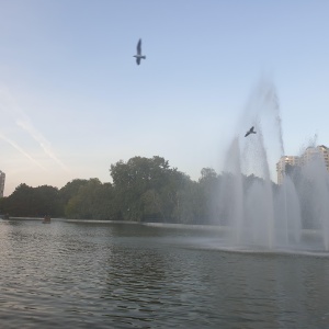 Фото от владельца Победа, дендропарк