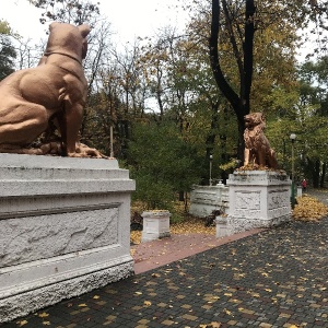 Фото от владельца Санаторий им. М. Горького