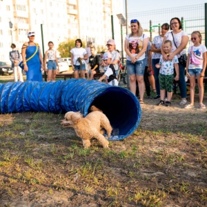 Фото от владельца Лидер, кинологическое объединение