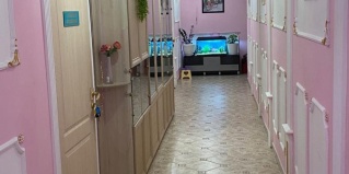 Москва: Хостел Фикус