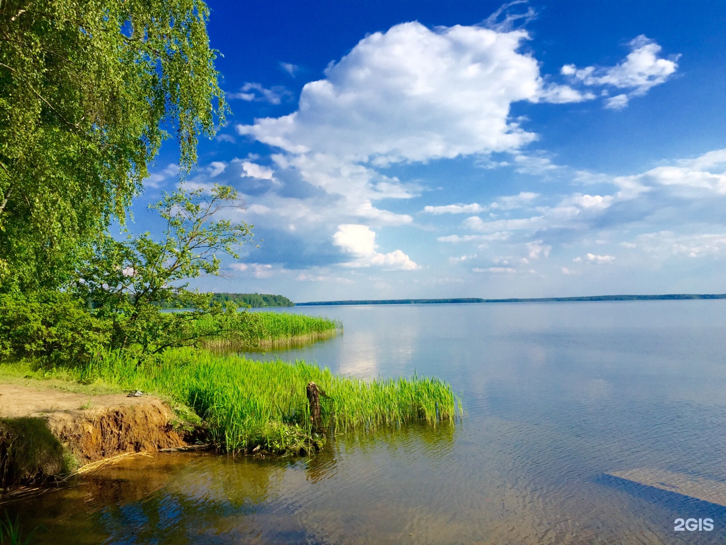 Учинское водохранилище пушкино. Учинское водохранилище берег. Учинское водохранилище Пушкино пляж. Китежградъ коттеджный поселок.