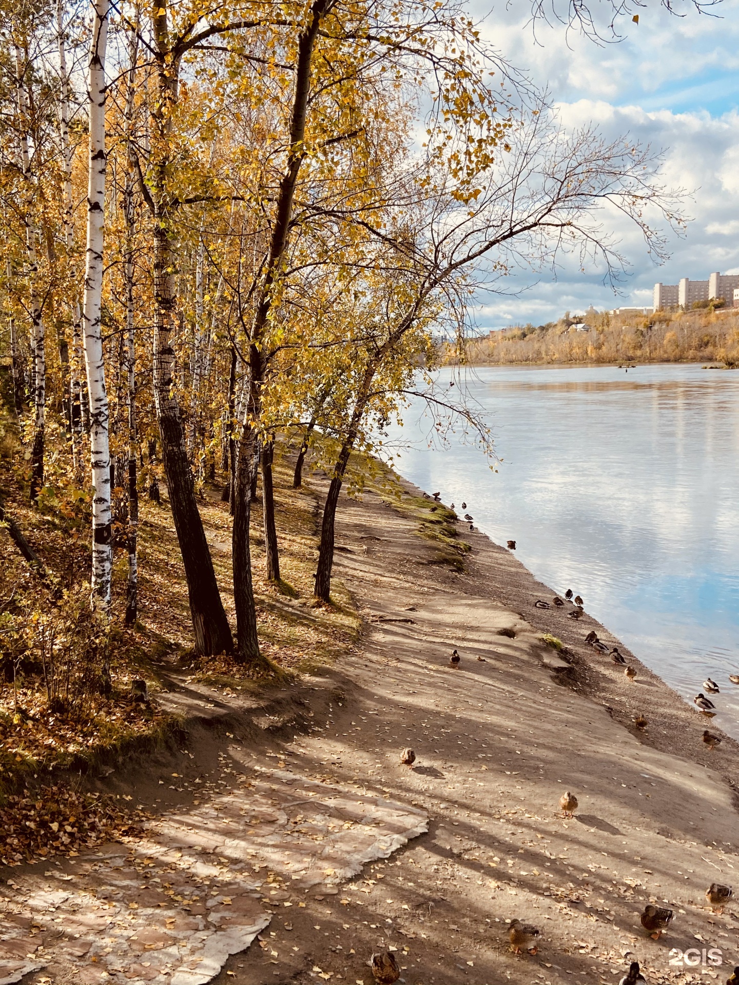 Татышев парк красноярск. Татышев Красноярск. Парк Татышева Красноярск. Остров Татышев. Татышев парк Красноярск осенью.