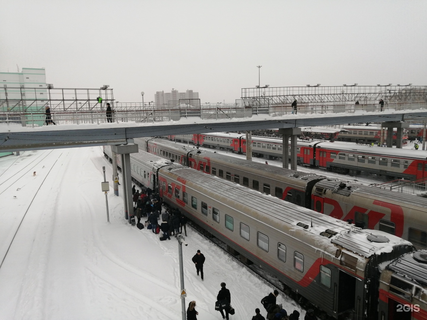 Экспресс пригород. Новосибирск экспресс пригород 2022. Экспресс-пригород, Новосибирск, улица Дмитрия Шамшурина, 41. Экспресс пригород фото. РЖД пригород Новосибирск.