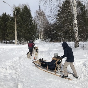 Фото от владельца Ашмарино, ООО, спортивно-оздоровительный комплекс