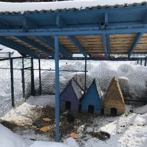 Фото от владельца Солнечный, детский оздоровительный лагерь