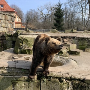 Фото от владельца Калининградский зоопарк