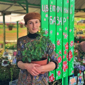 Фото от владельца Петровский, рынок