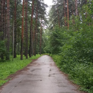 Фото от владельца Сосновый бор, парк культуры и отдыха