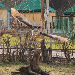 Фото от владельца Сункар, гостиничный комплекс