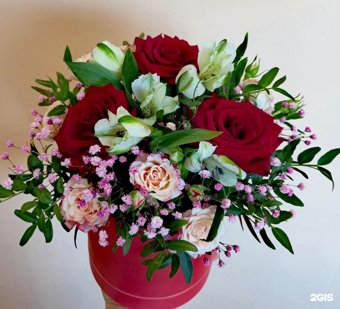 Купить Цветы На Авито Набережные Челны