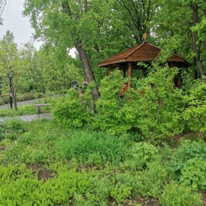 Фото от владельца Ботанический сад-институт, ДВО РАН, Амурский филиал
