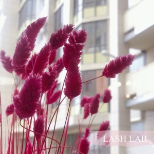 Фото от владельца Lash Lab, студия наращивания ресниц и ногтей
