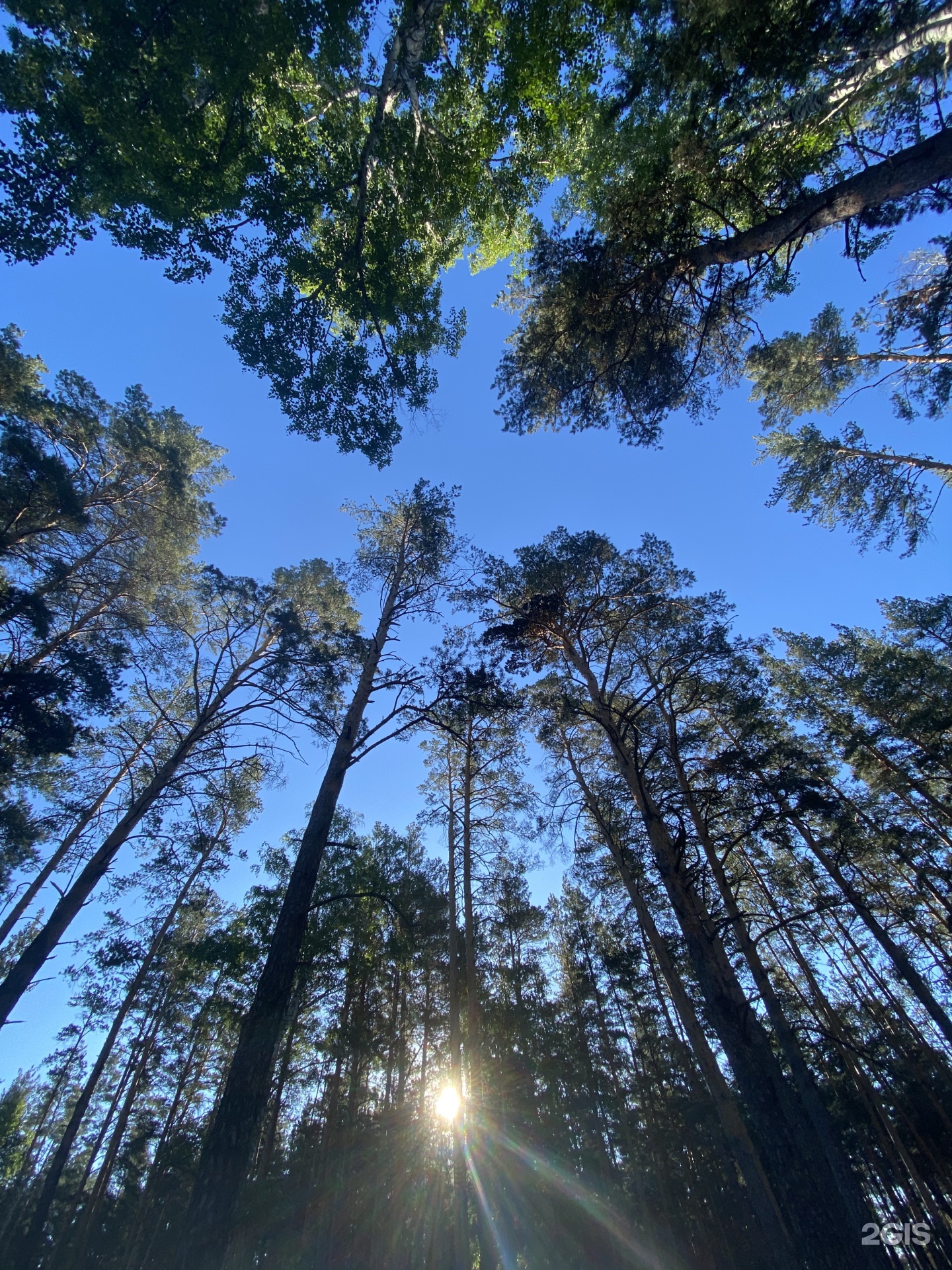 Guest house Forest and Lake