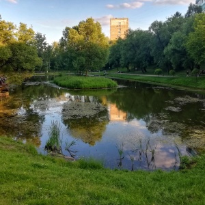 Фото от владельца Аршиновский, парк культуры и отдыха