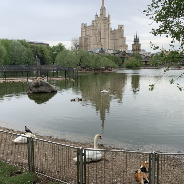 Большая грузинская 1 зоопарк. Московский зоопарк, Москва, большая Грузинская улица, 1, стр. 1. Московский зоопарк на грузинской. Зоопарк Москва большая Грузинская 1. Государственный Московский зоопарк ул большая Грузинская.