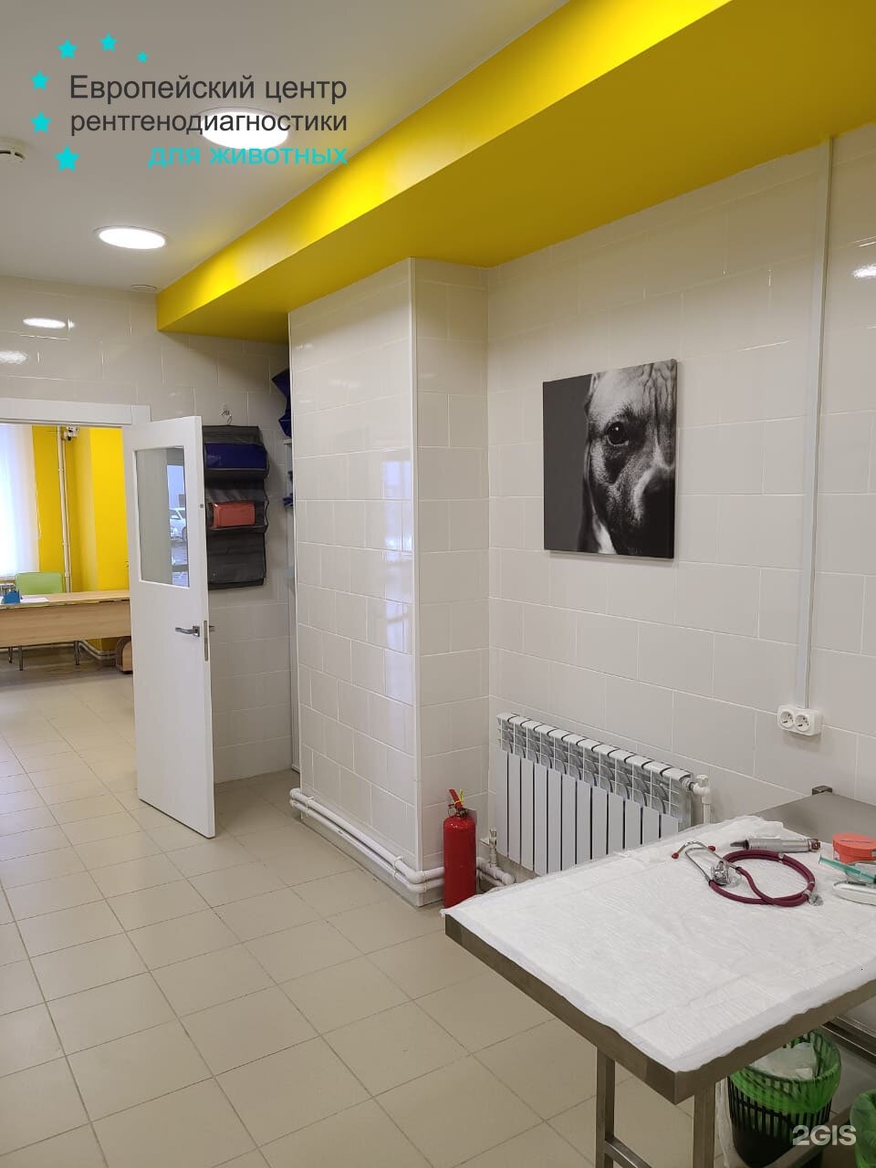 европейский ветеринарный центр evc