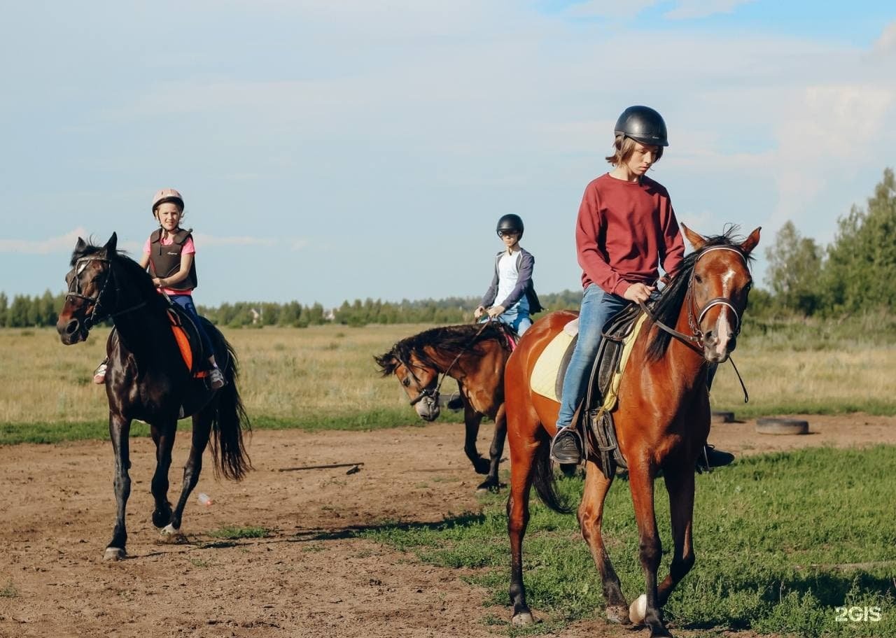конный дворик узбекистан. вывеска конный дворик. жукова гора касимов конюшня. конный двор куликово поле. конный дворик.
