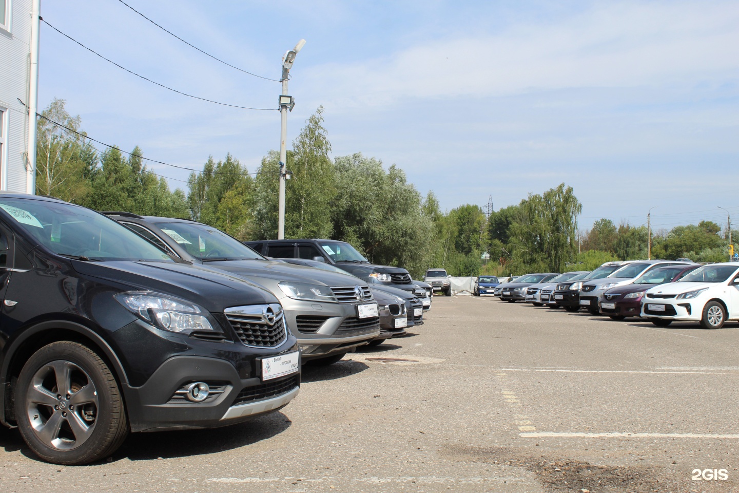 Папатайм тверь автосалон. Большие Перемерки 6 Тверь. ПАПАТАЙМ Тверь. Большие Перемерки 17 Тверь. Фото сотрудников автосалона ПАПАТАЙМ В Твери.