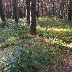 Фото от владельца Сказка, комплекс загородного отдыха