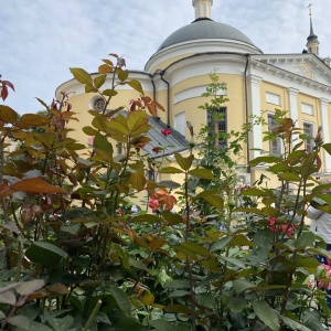 Фото от владельца Покровский ставропигиальный женский монастырь у Покровской заставы
