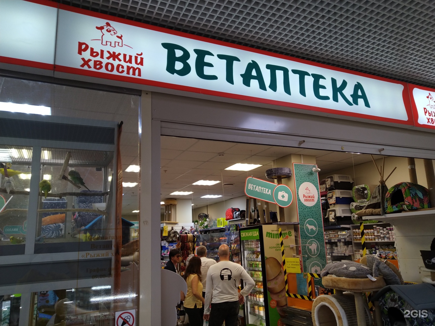 рыжий хвост зоомагазин. клиника рыжий хвост калининград. рыжий хвост зоомагазин. рыжий хвост зоомагазин. рыжий хвост зоомагазин.