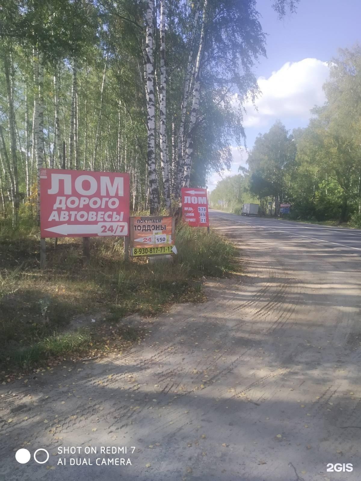 Приём металлолома в Золотово. Деревня лом Свердловская область. Погода на завтра в Золотово.